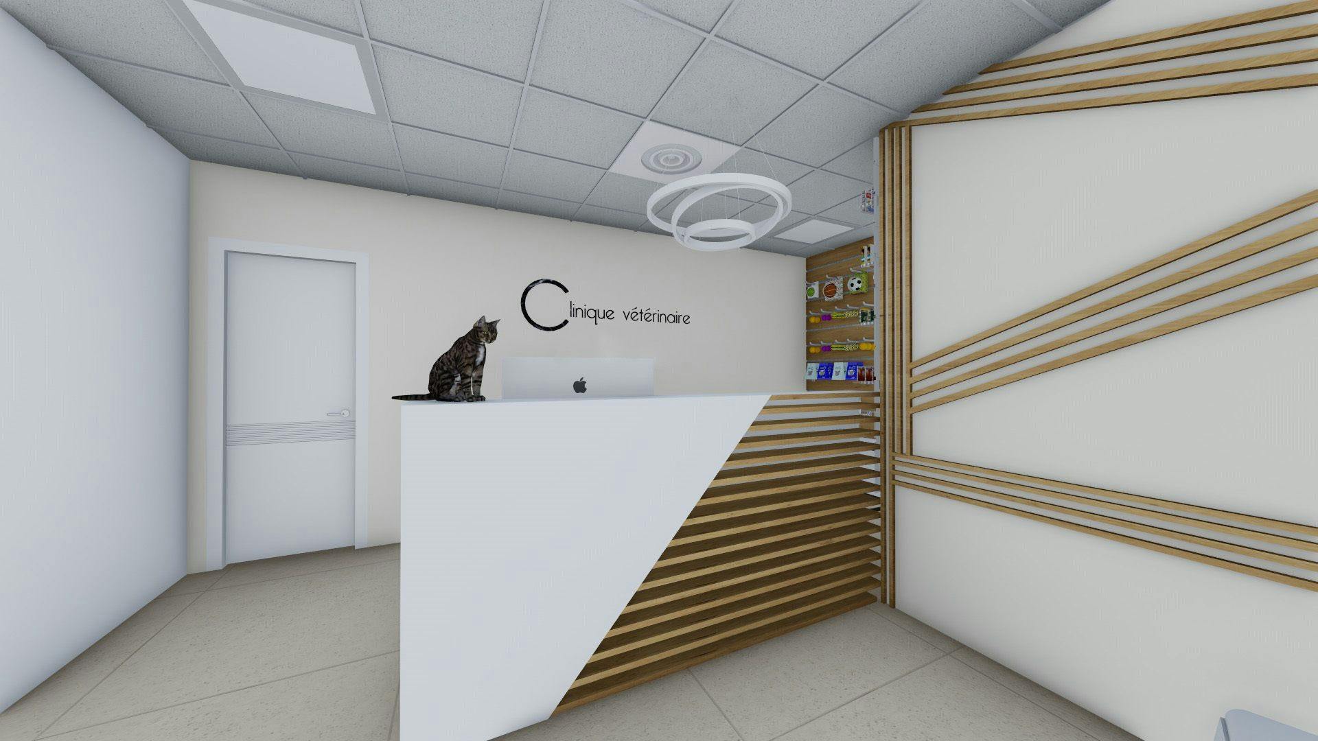 rénovation de clinique vétérinaire à Laval (53)
